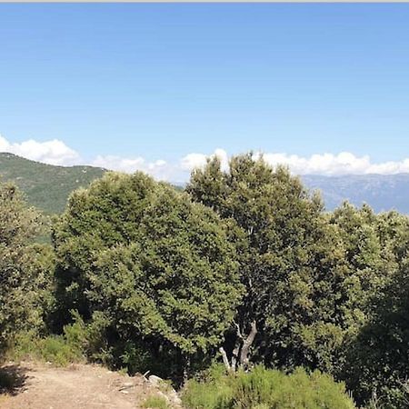 Sottu E Stelle Ξενοδοχείο Albitreccia Εξωτερικό φωτογραφία