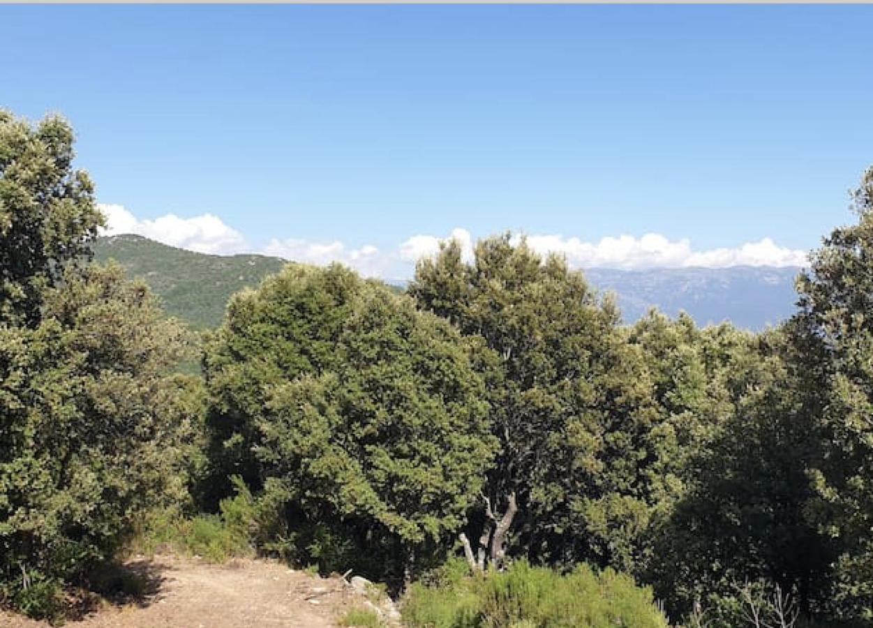 Sottu E Stelle Ξενοδοχείο Albitreccia Εξωτερικό φωτογραφία