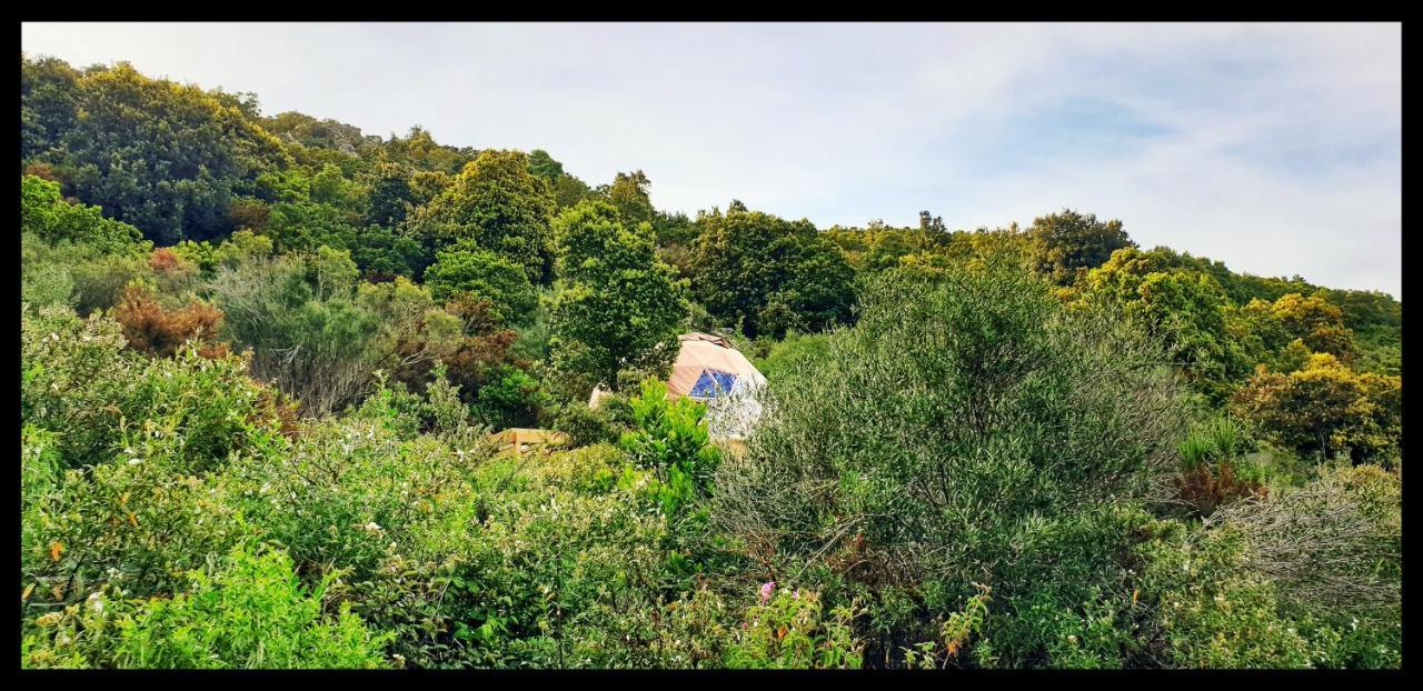 Sottu E Stelle Ξενοδοχείο Albitreccia Εξωτερικό φωτογραφία